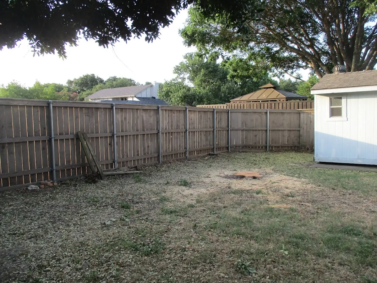 Cleared yard after professional tree removal in Allendale